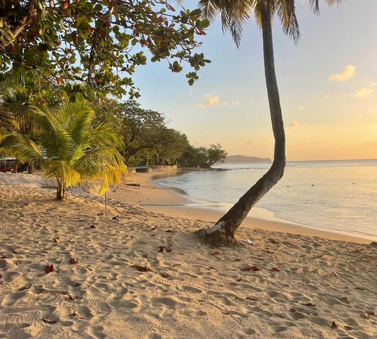 Caribbean Sunset Villa Gros Islet Santa Lucia
